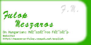 fulop meszaros business card